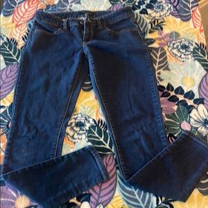 The Limited Classic Blue Women's Skinny Jeans